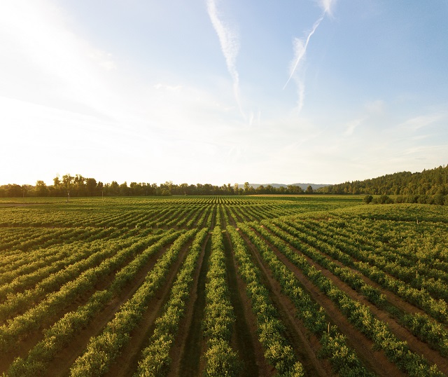 Agricultural